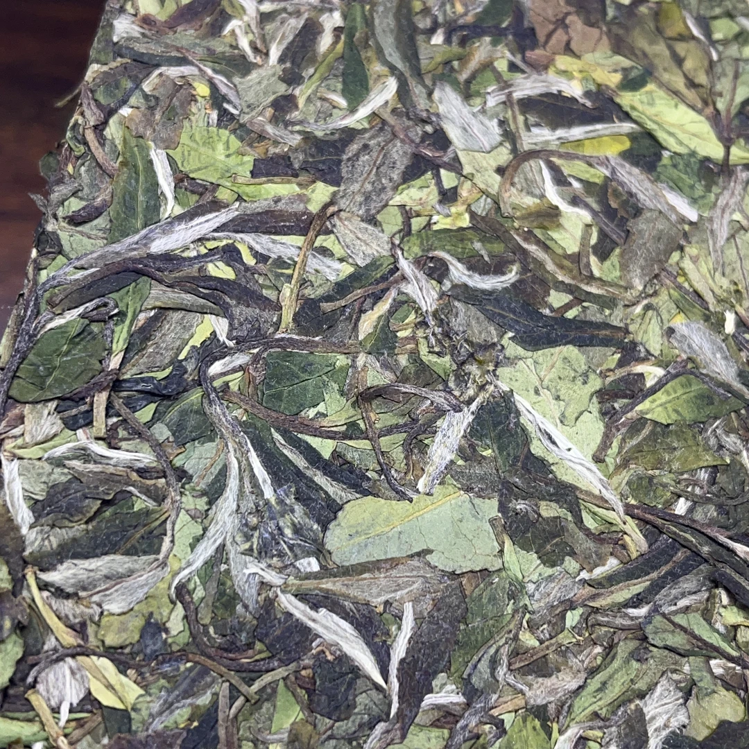 2021年贡眉小菜菜松压砖 茶青 福安