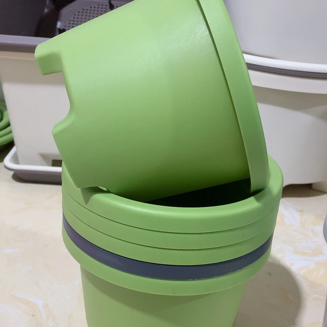 球根口17果绿5个无托