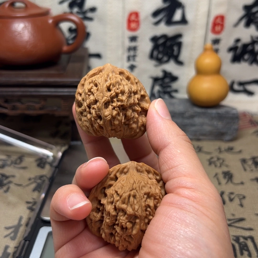 涿鹿原生态山地果