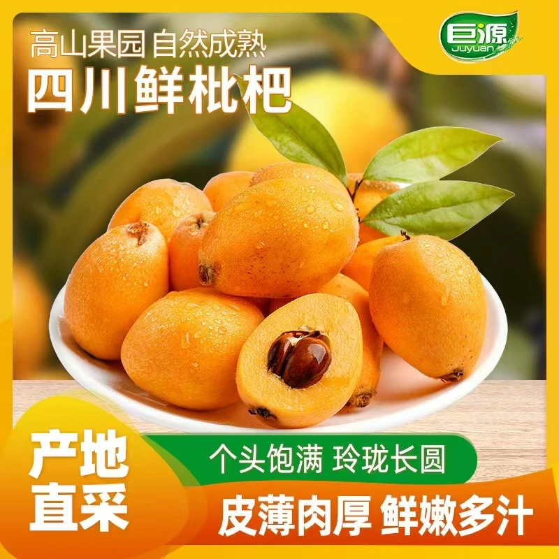 顺丰现摘四川高山大五星枇杷果新鲜水果皮薄肉厚鲜嫩多汁高山枇杷