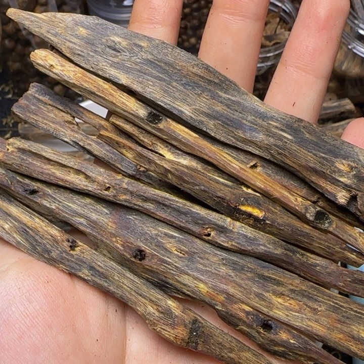 大叶紫檀（黑酸枝木类）20克树心油原材料