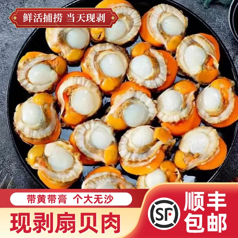 新鲜扇贝毛贝肉大低温速冻锁鲜美味海鲜水产美食