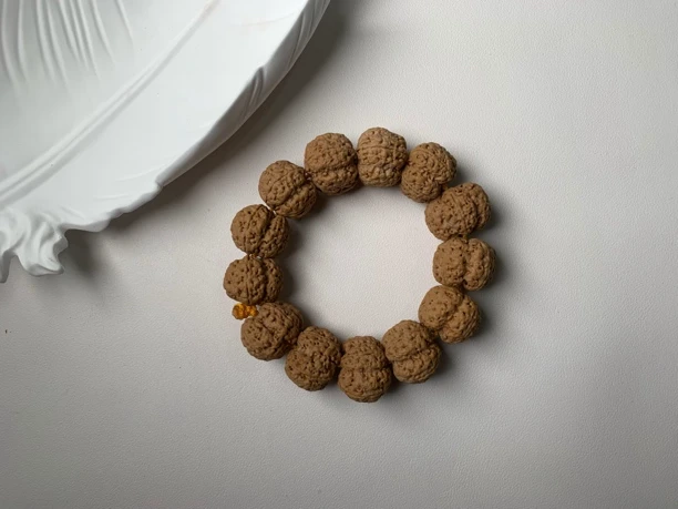 《奉天精选》梁·大尺寸梅花，2024年新籽