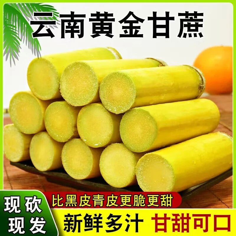 云南新鲜现砍黄皮甘蔗当季水果脆甜多汁可榨汁
