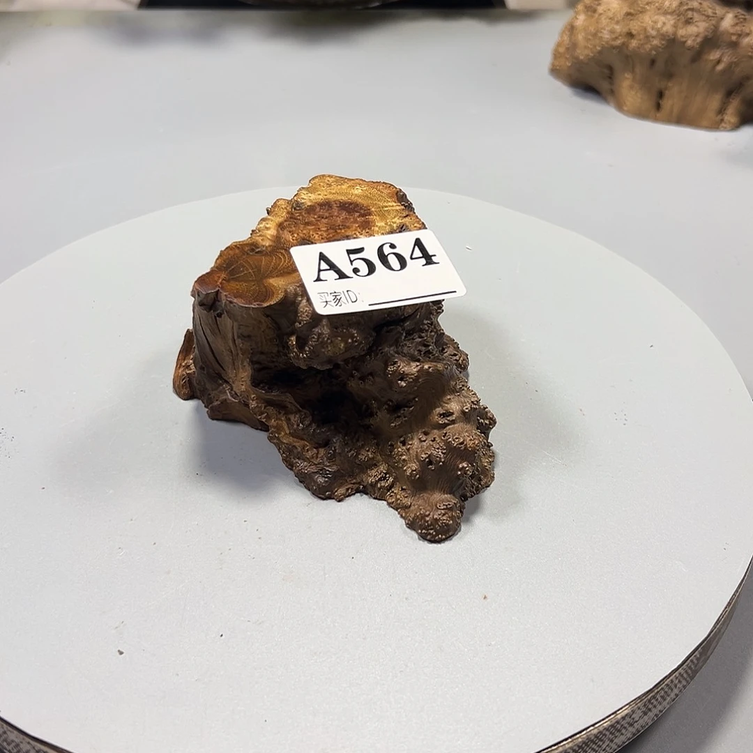 大果紫檀（缅甸花梨）࿑****心