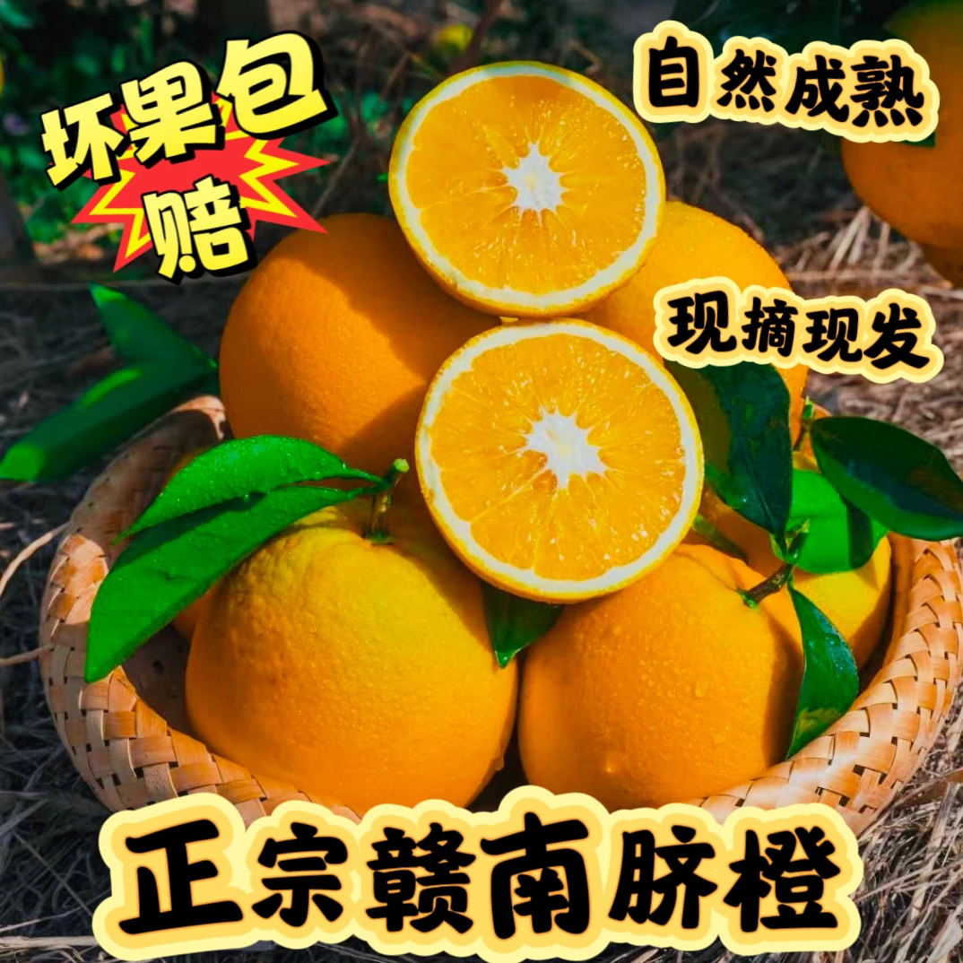 正宗江西赣南脐橙新鲜现摘现发当季应季甜橙子产地直发