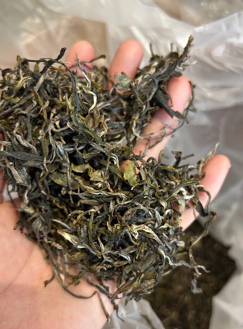 (阿鹏甄选)2020年老班章茶王地生茶1000克散生   12月15号