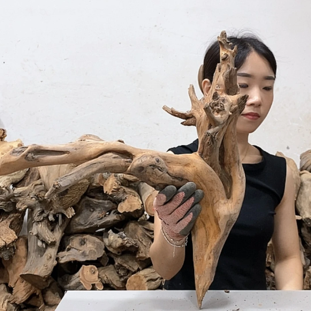 【闪购商品】柏木万*候我们都是好孩子呀