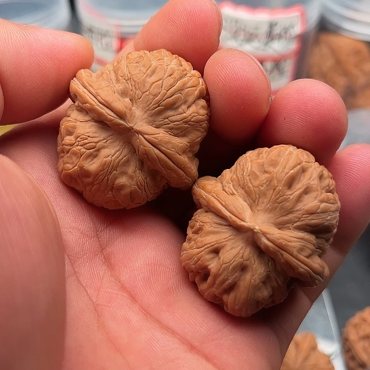 文玩核桃把件元宝41