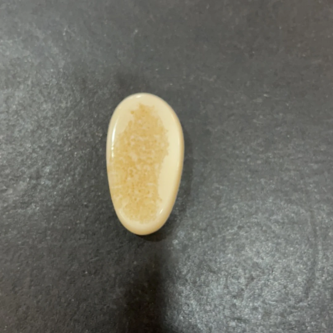 猛犸虬约16.7克饼子配饰TD397