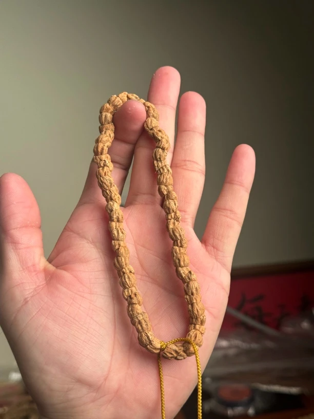 热振柏香籽几何斜切大肠手持