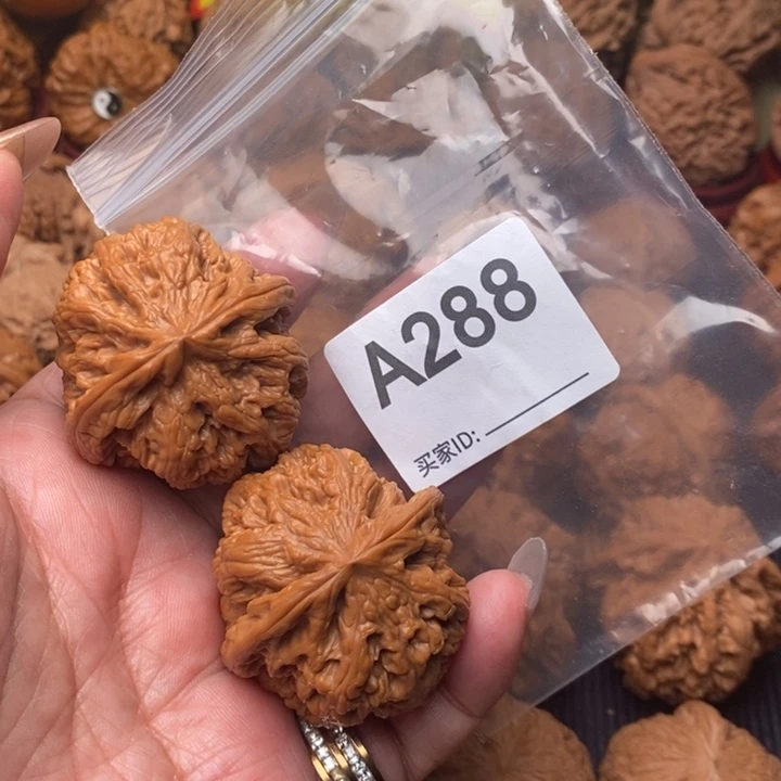 文玩核桃把件粗筋41加288号