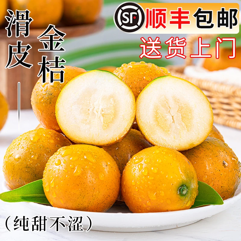 【第二代】融安滑皮金桔新鲜桔子应当季现摘水果柑桔纯甜顺丰包邮