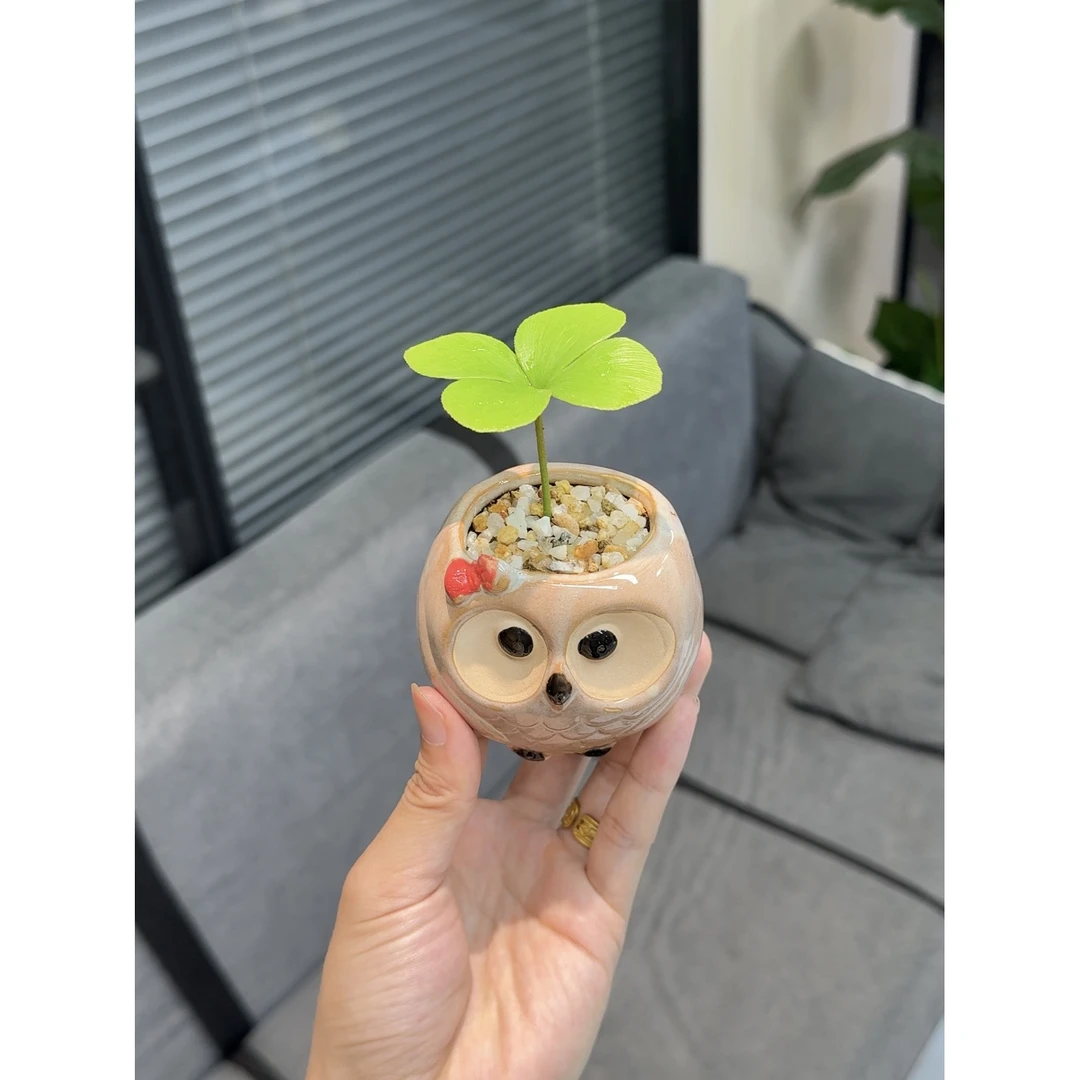 猫头鹰四叶草室内盆栽客厅书桌办公桌精致摆件