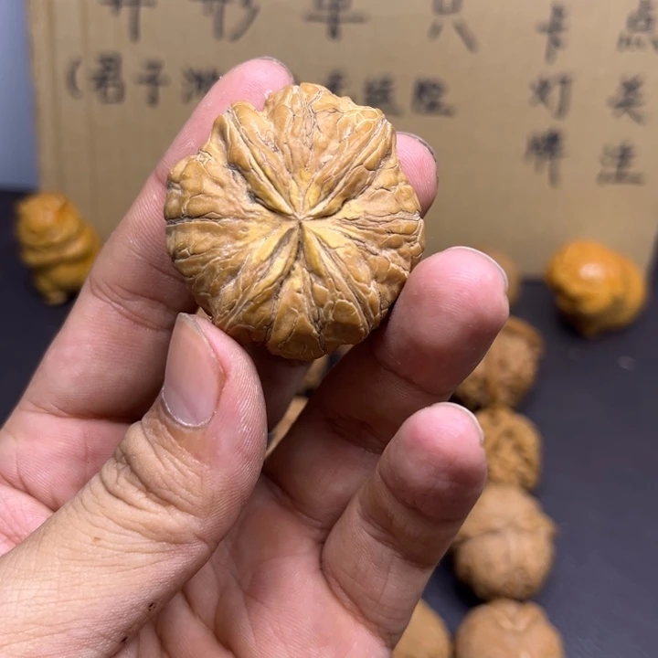 时***间菩提籽类元宝四棱有黄多