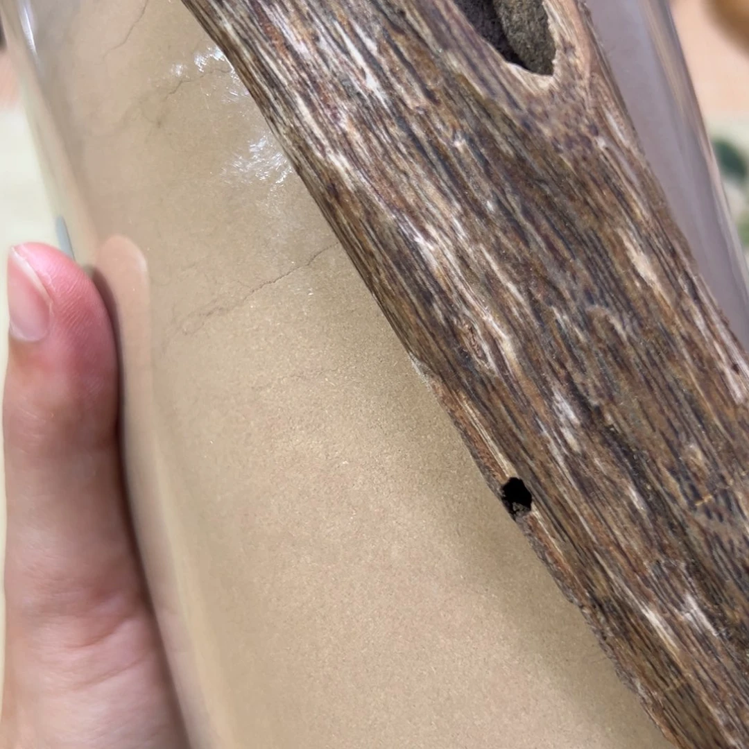 【闪购商品】香榧木海南木料特级虫漏粉50克