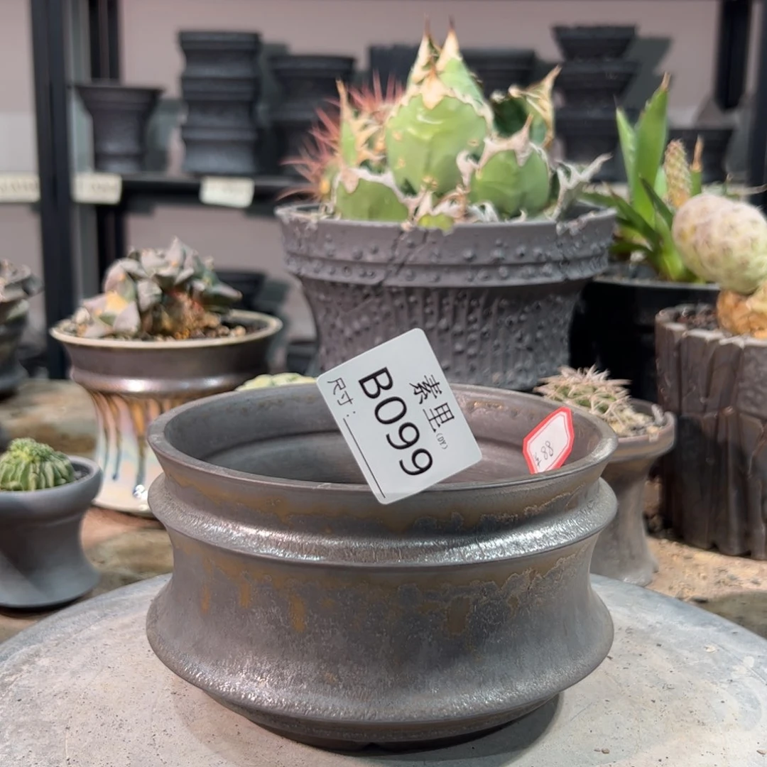 景德镇手工素里内口14高8.5