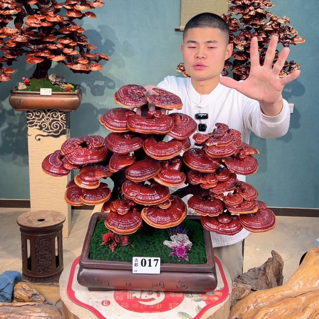 无花朵888888888889