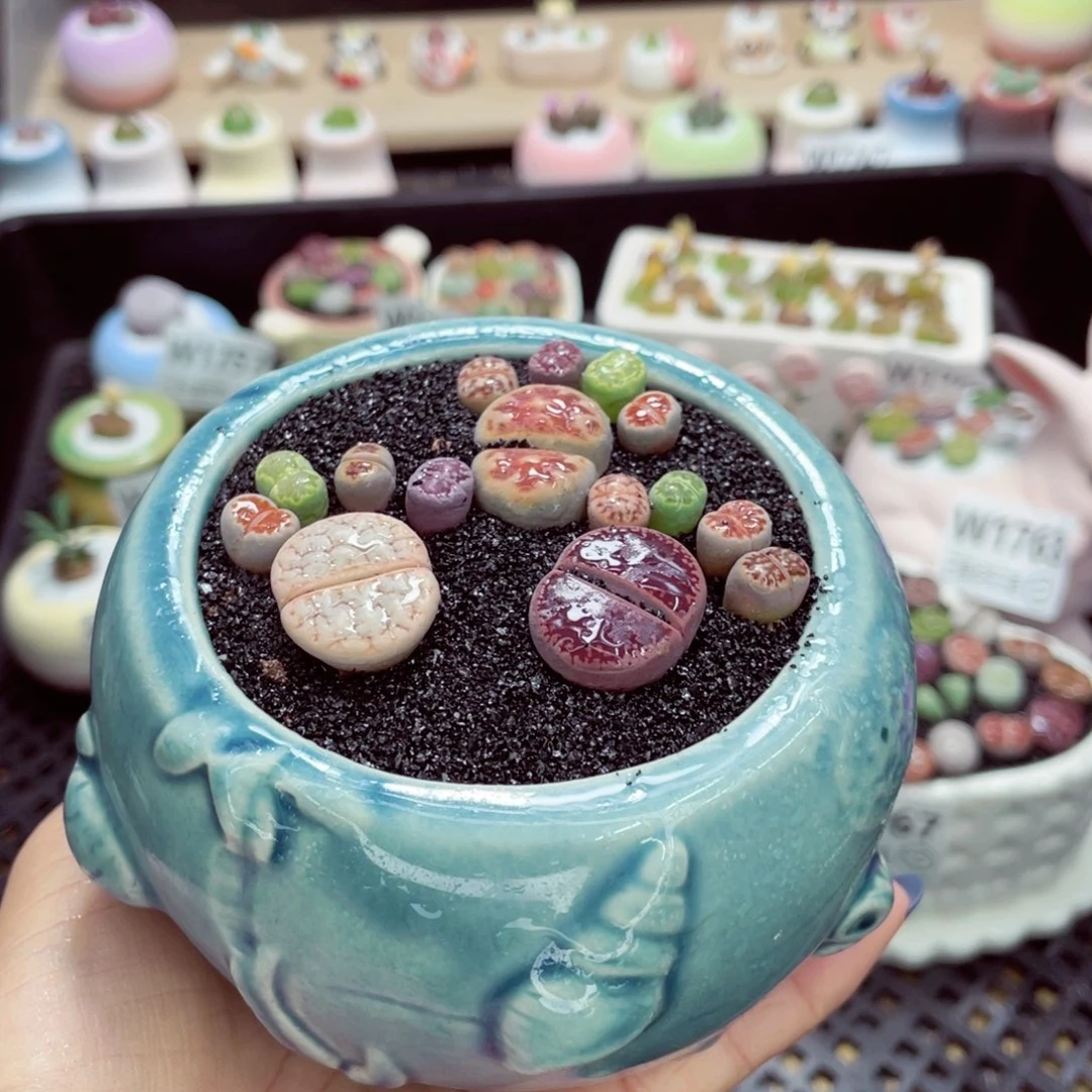 零下地区拍保温箱w1768