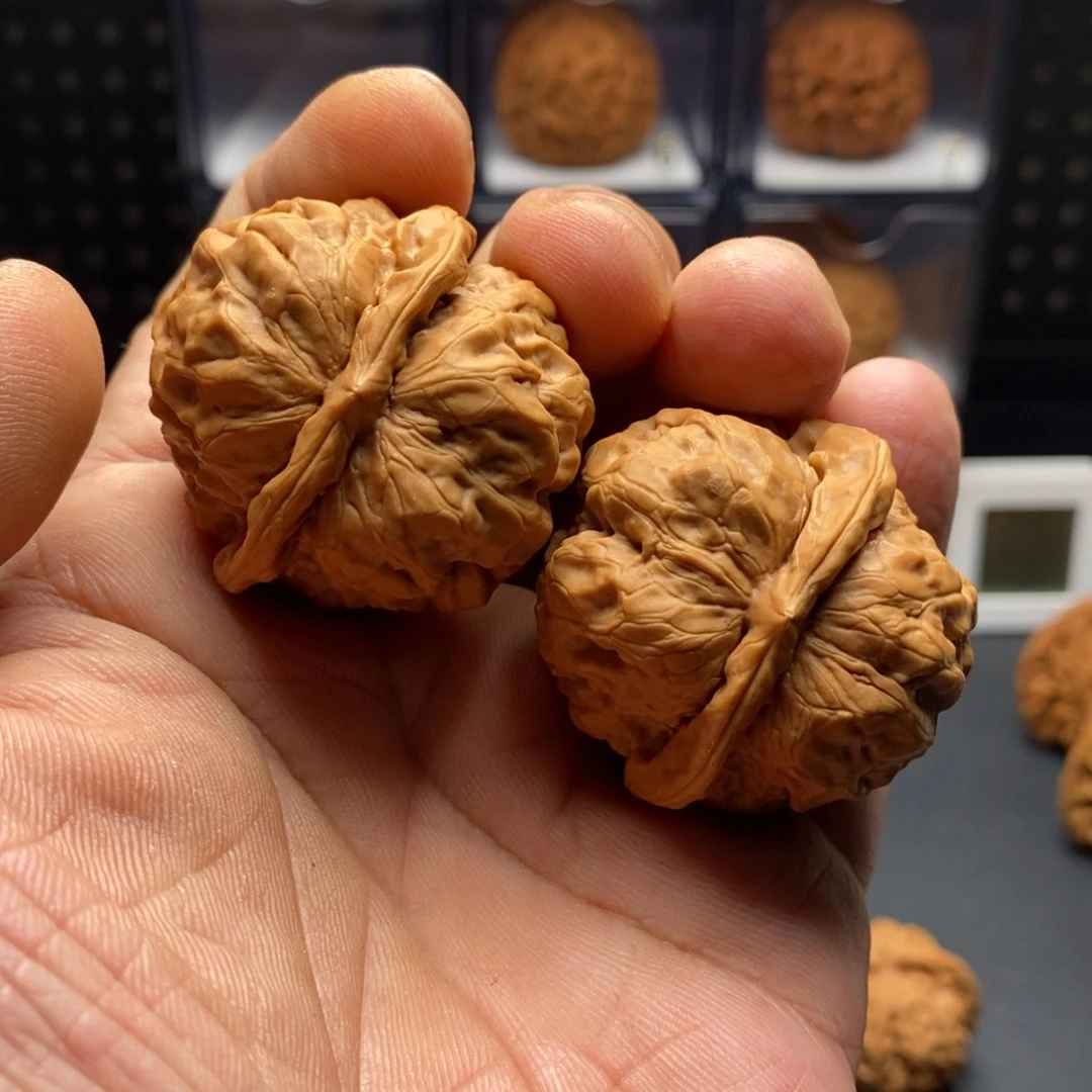 身***呀40全品蛤蟆延庆8888888888