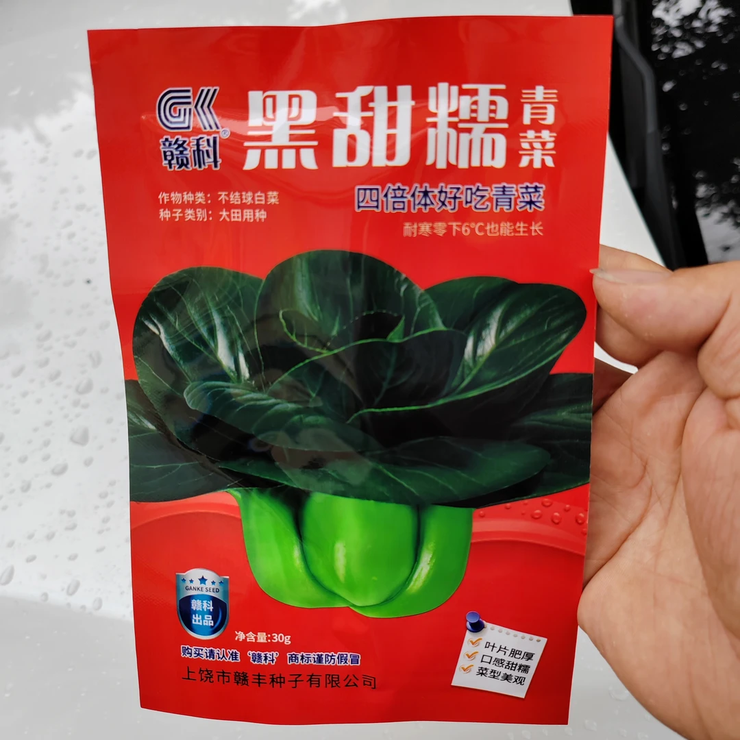 黑甜糯青菜种子叶片肥厚口感甜糯菜型美观