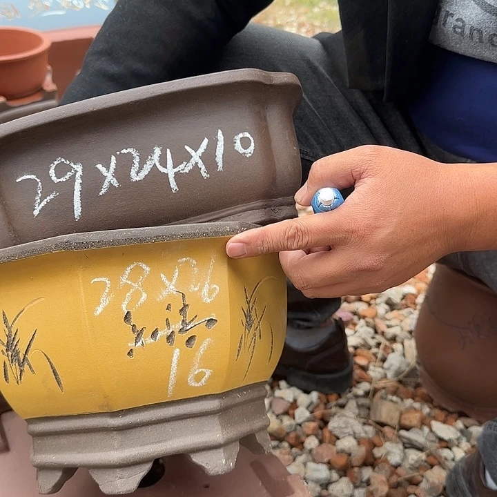 花盆紫砂紫砂花盆