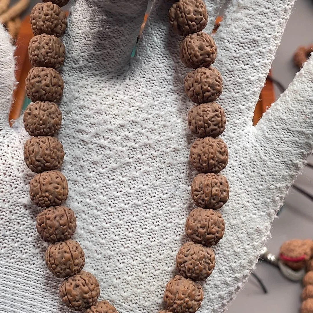 处***雨吊坠金刚菩提老树梅花11