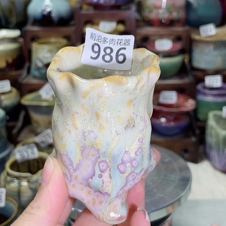 狼盆内口径5高度8