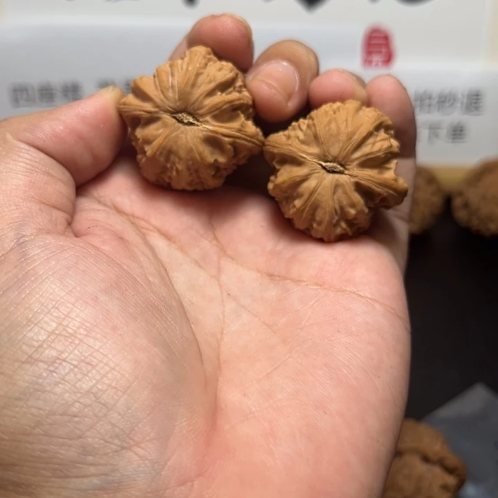 把件文玩核桃白狮子34尺全品034