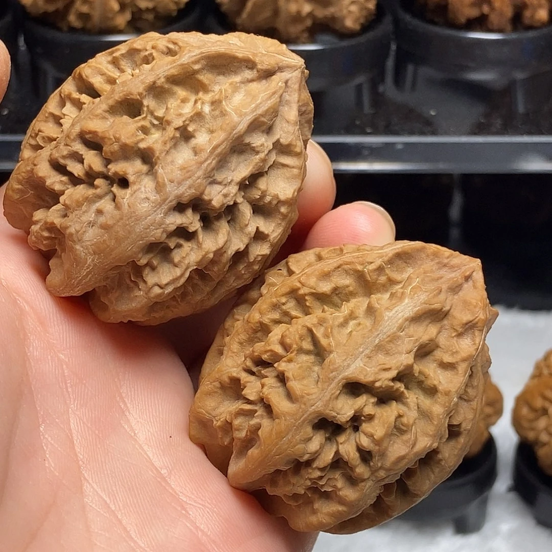 把件文玩核桃花王