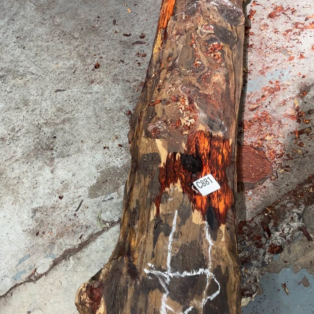 九***天一物一拍血檀编码881