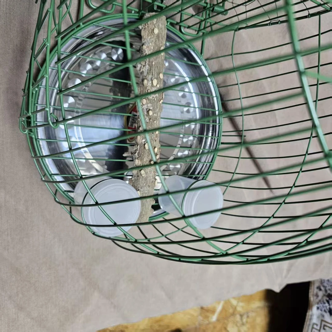 新款26厘米绿色越南心形笼可调节高低带接粪盘带笼罩全套