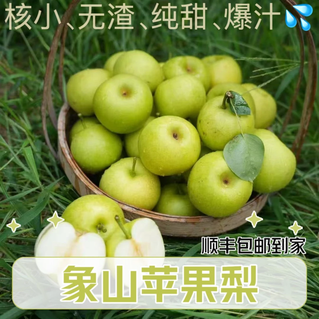 【象山苹果梨】海岛蜜梨翠玉梨纯甜爆汁核小无渣3/4.5斤礼盒装
