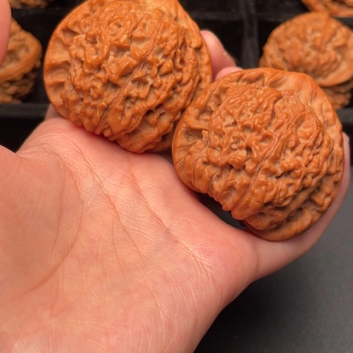 菩提籽类秦岭野生核桃文玩