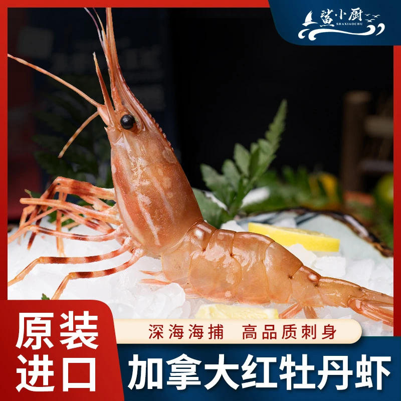 加拿大红牡丹甜虾刺身牡丹虾生吃即食刺身虾北极甜虾日料