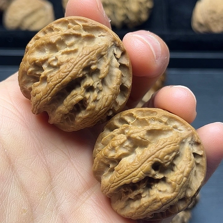 木质类秦岭突突突突特突