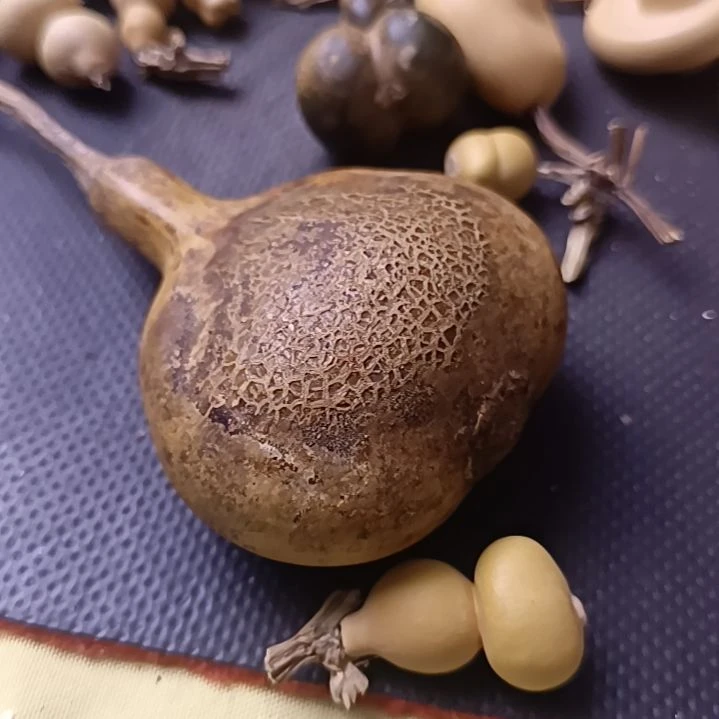 淡*希奇古怪夹板葫芦