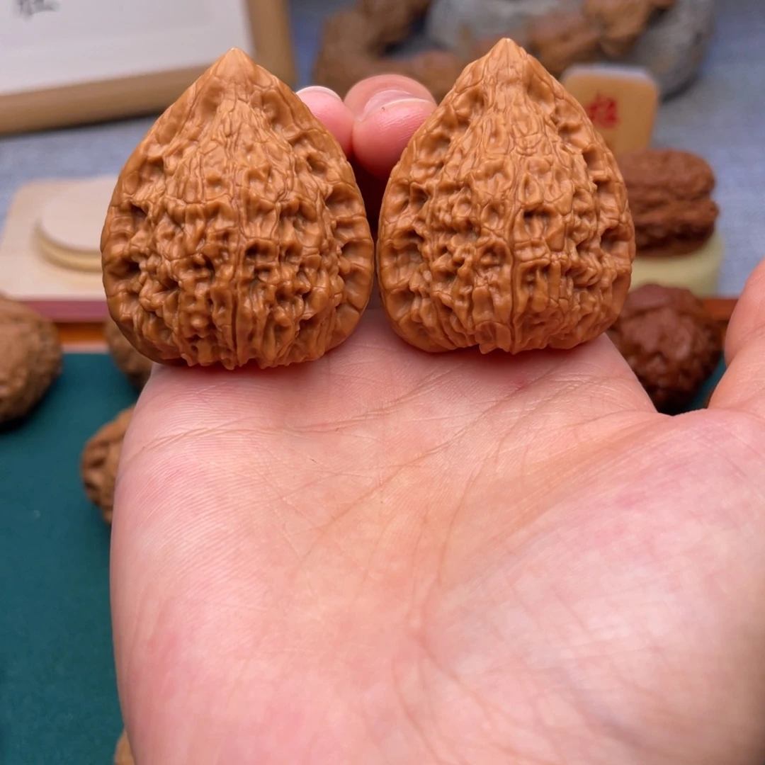 38尺全品无修蛇王一抹红