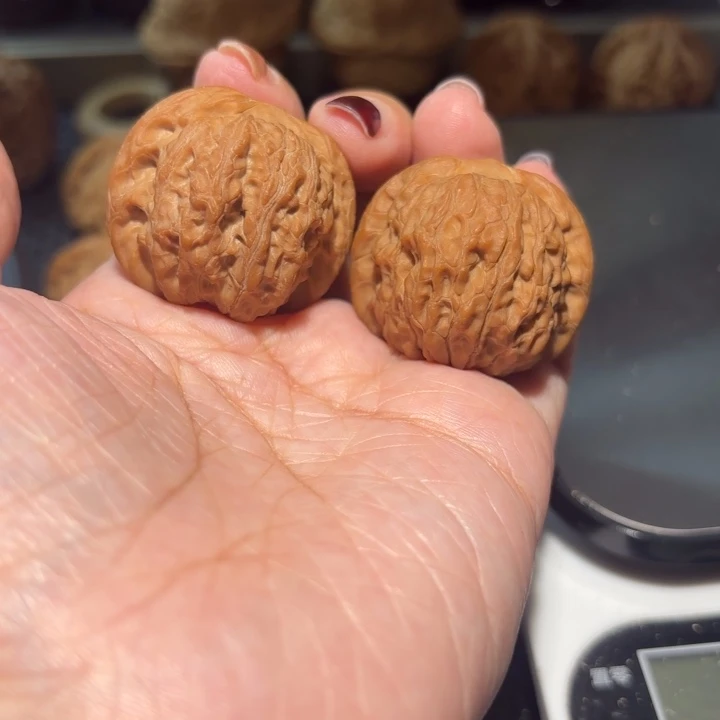 文玩核桃把件34无修血麒麟