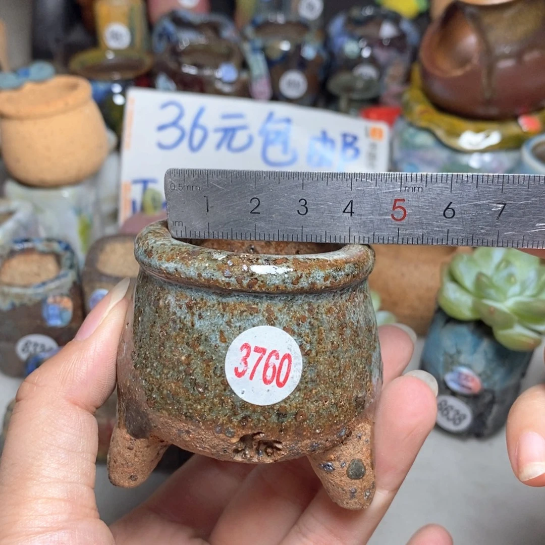拍三送一9.9拍5送一送同款