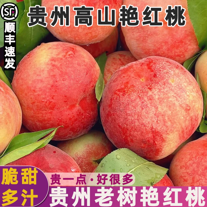 【顺丰包邮】红不软脆桃正宗头茬应季艳红桃现摘现发新鲜桃子可口