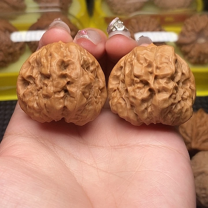 边38肚43 金蟾蛤蟆头