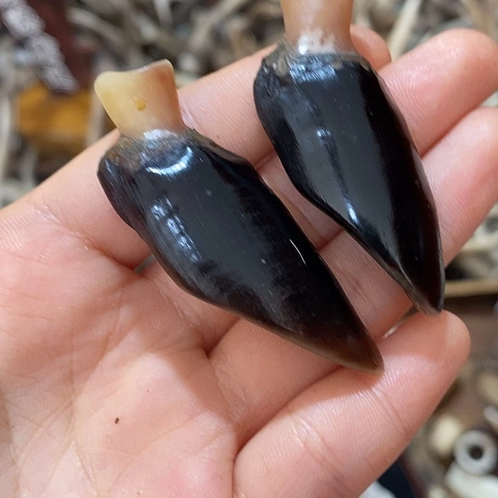 石英石非金属鹿蹄鹿蹄