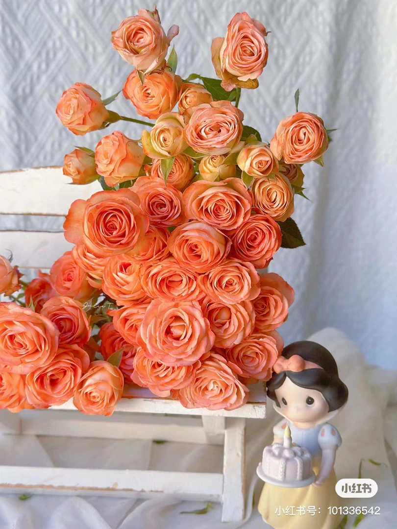 小妖精多头玫瑰10 支低温不拍保温冻坏不售后