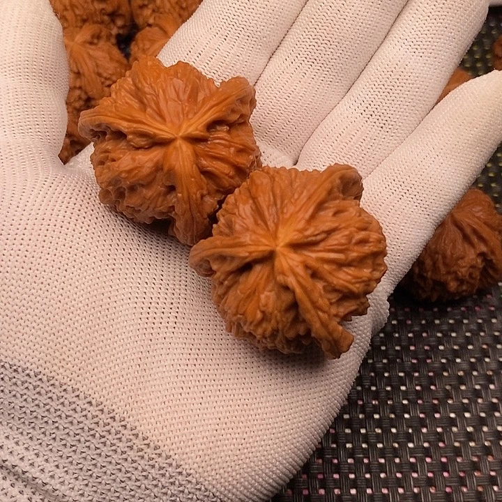手串/手链核桃拼接白狮子9