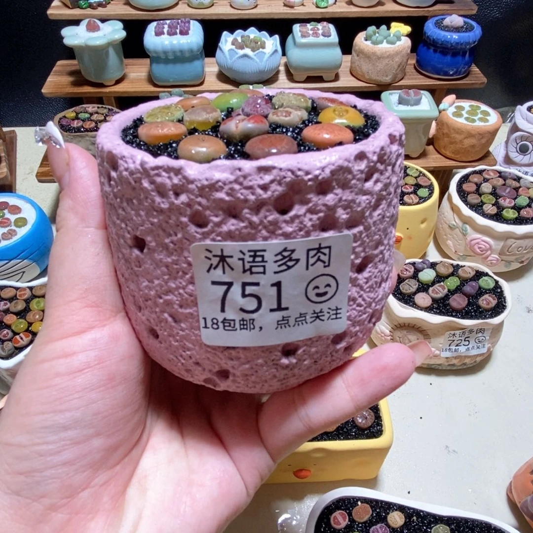 所见即所得 一物一拍751