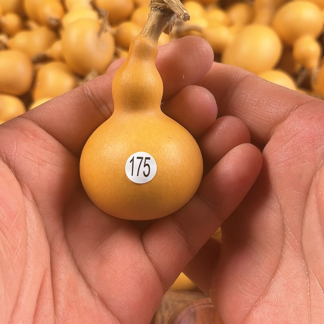 一葫芦葫芦葫芦葫芦175