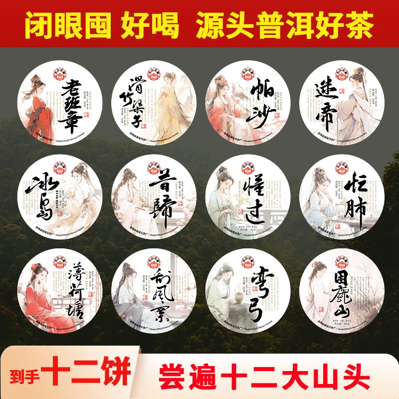 金陵十二钗 100g生茶12饼套组 云南普洱茶生茶紧压茶