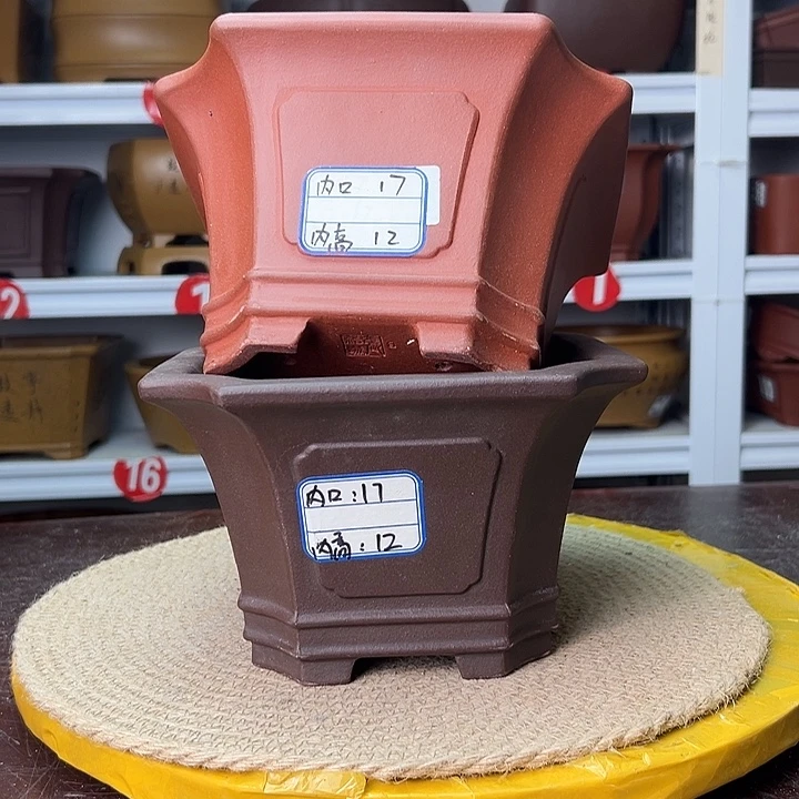 紫砂花盆蛇年大吉