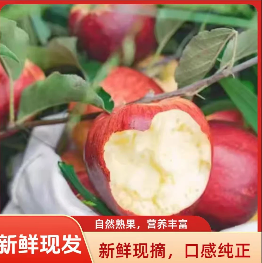 【2025新苹果】云南高原华硕苹果头茬当季水果新鲜现摘现发脆甜可口